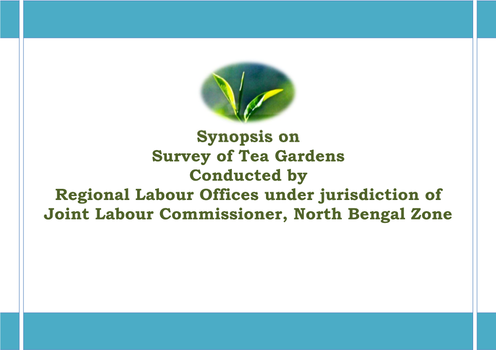 Synopsis on Survey of Tea Gardens Conducted by Regional Labour Offices Under Jurisdiction of Joint Labour Commissioner, North Bengal Zone Contents