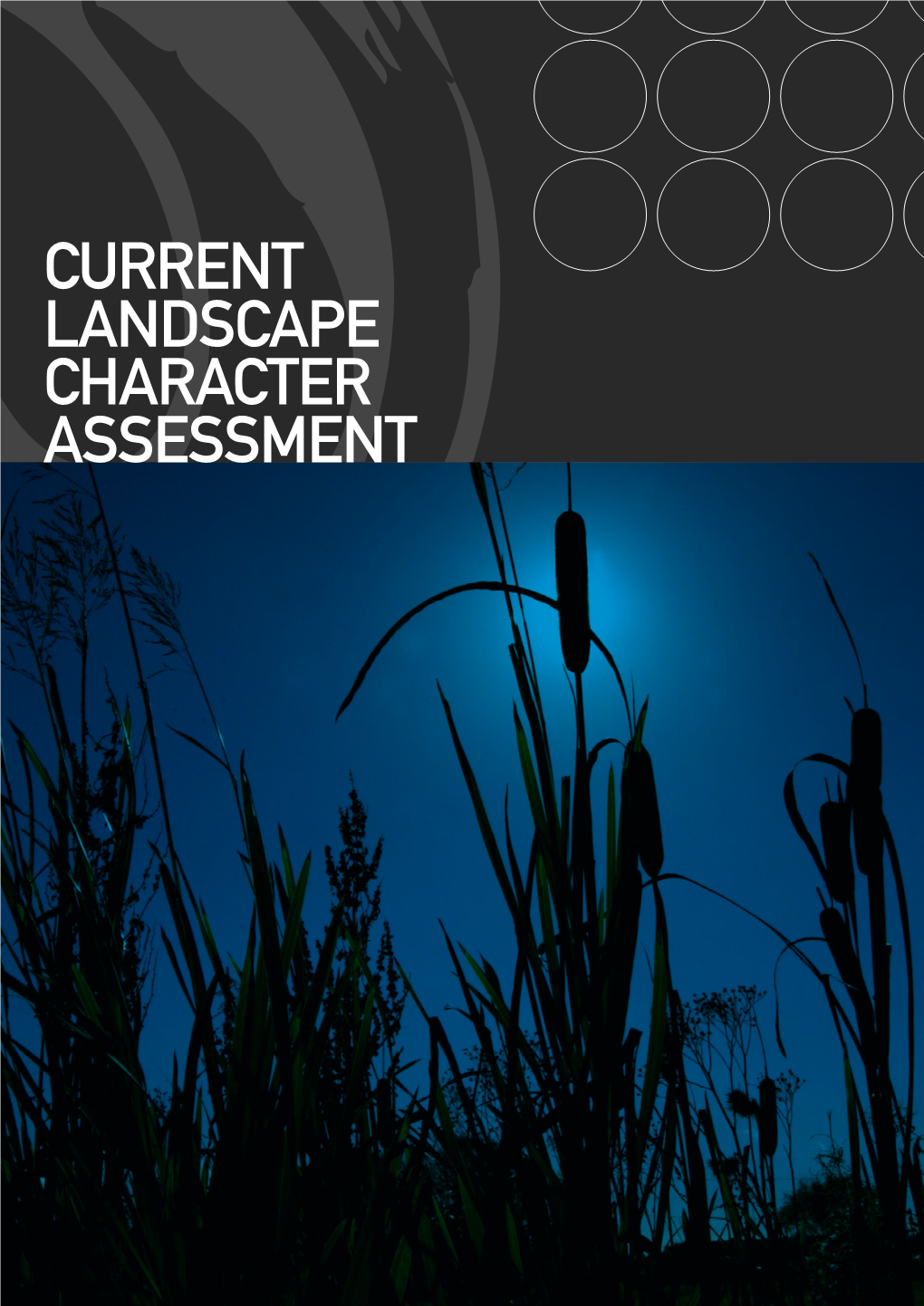 Landscape Character Assessment Current