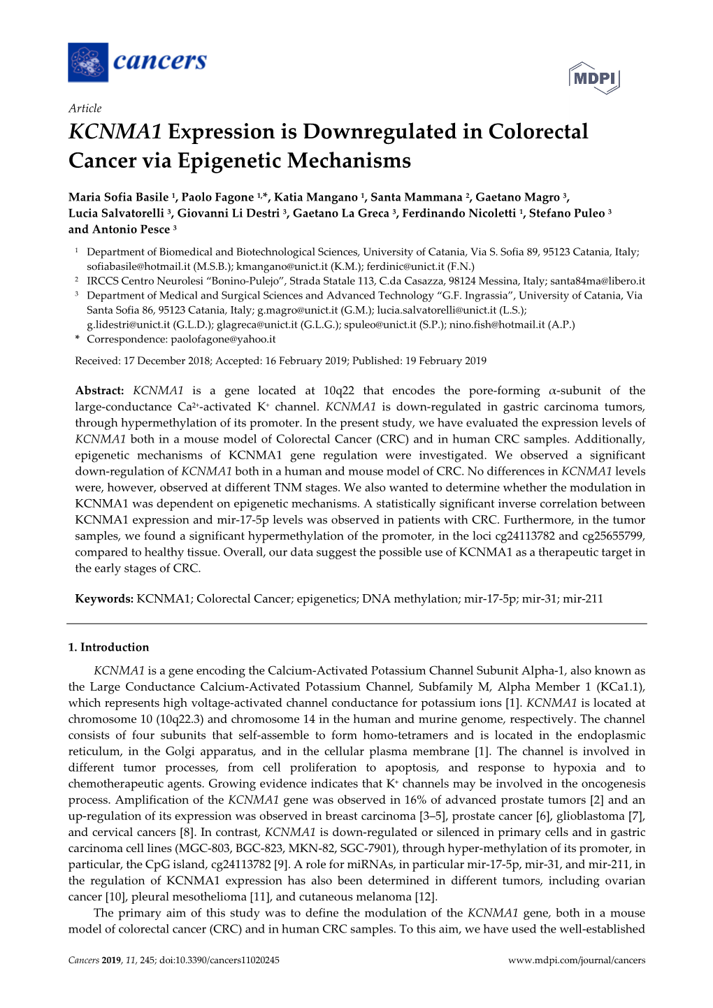 KCNMA1 Expression Is Downregulated in Colorectal Cancer Via Epigenetic Mechanisms