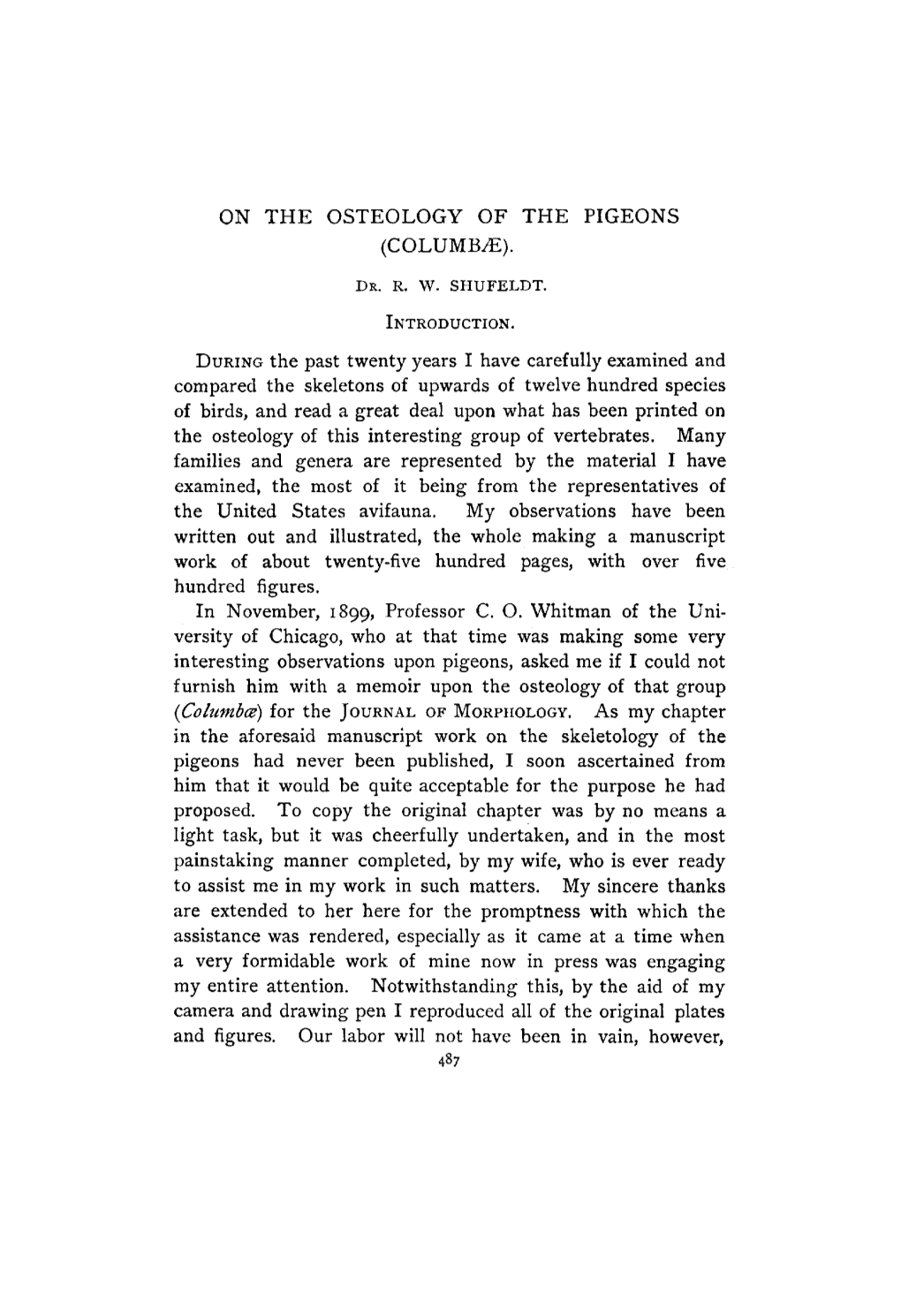 On the Osteology of the Pigeons (Columbk)