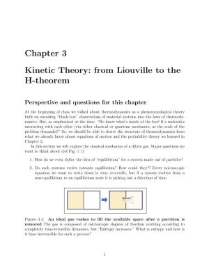 Chapter 3 Kinetic Theory: from Liouville to the H-Theorem