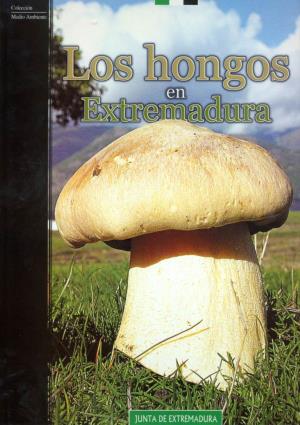 Los Hongos En Extremadura