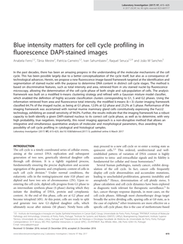 Blue Intensity Matters for Cell Cycle Profiling in Fluorescence DAPI