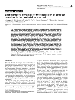 Spatiotemporal Dynamics of the Expression of Estrogen Receptors In