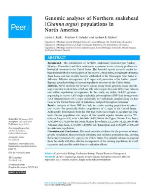 Genomic Analyses of Northern Snakehead (Channa Argus) Populations in North America