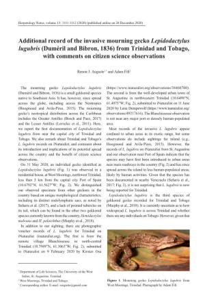 Additional Record of the Invasive Mourning Gecko Lepidodactylus