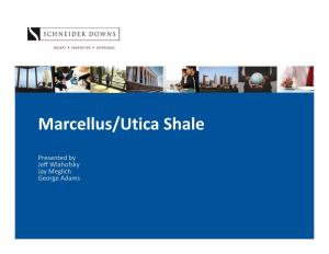 Marcellus/Utica Shale