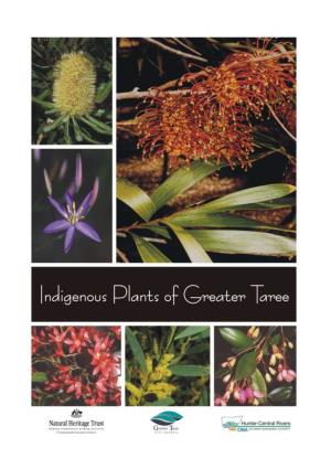 Indigenous Plants of Greater Taree