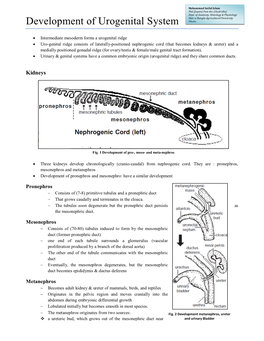 Development of Urogenital System Dhaka