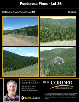 Ponderosa Pines - Lot 36