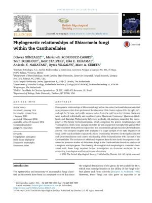 Phylogenetic Relationships of Rhizoctonia Fungi Within the Cantharellales