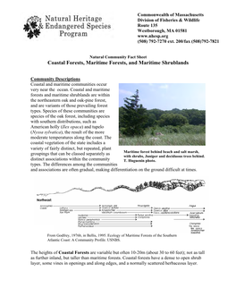 Natural Community Fact Sheet Coastal Forests, Maritime Forests, and Maritime Shrublands