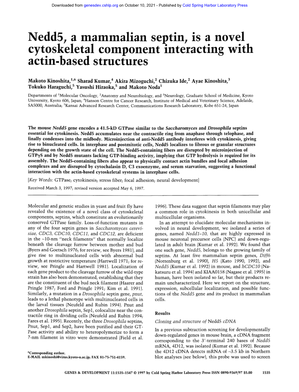 Nedd5, a Mammalian Septin, Is a Novel Cytoskeletal Component Interacting with Actin-Based Structures