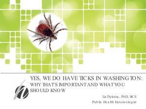 YES, WE DO HAVE TICKS in WASHINGTON: WHY THAT’S IMPORTANT and WHAT YOU SHOULD KNOW Liz Dykstra, Phd, BCE Public Health Entomologist Agenda