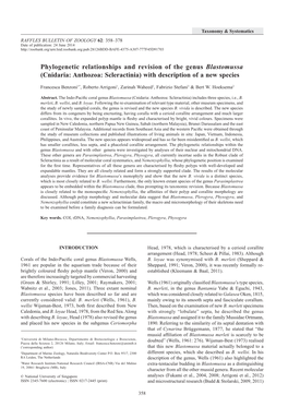 Phylogenetic Relationships and Revision of the Genus Blastomussa (Cnidaria: Anthozoa: Scleractinia) with Description of a New Species