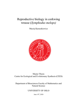 Reproductive Biology in Corkwing Wrasse (Symphodus Melops)