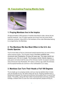 10 Fascinating Praying Mantis Facts