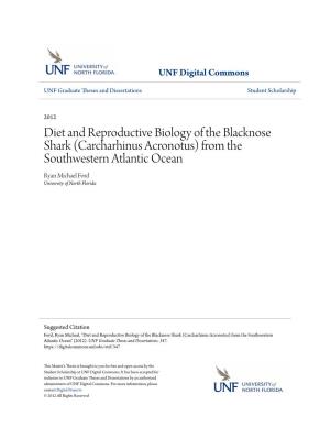 Diet and Reproductive Biology of the Blacknose Shark (Carcharhinus Acronotus) from the Southwestern Atlantic Ocean Ryan Michael Ford University of North Florida