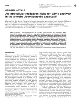 An Intracellular Replication Niche for Vibrio Cholerae in the Amoeba Acanthamoeba Castellanii