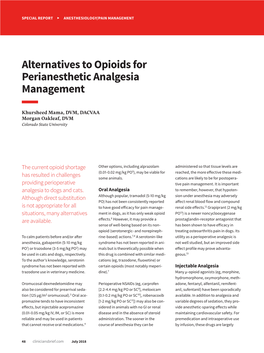 Alternatives to Opioids for Perianesthetic Analgesia Management