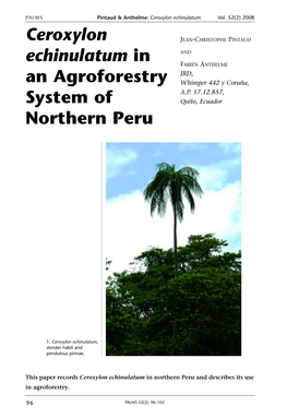 Ceroxylon Echinulatum in an Agroforestry System of Northern Peru