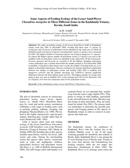 Some Aspects of Feeding Ecology of the Lesser Sand Plover Charadrius Mongolus in Three Different Zones in the Kadalundy Estuary, Kerala, South India