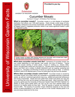 Cucumber Mosaic Kymberly R