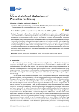 Microtubule-Based Mechanisms of Pronuclear Positioning