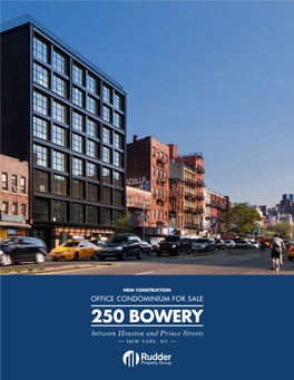 250 BOWERY Between Houston and Prince Streets NEW YORK, NY 250 BOWERY Between Houston and Prince Streets NEW YORK, NY