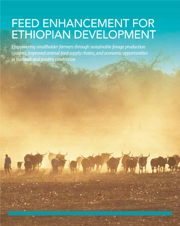 Feed Enhancement for Ethiopian Development