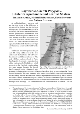 (I) Interim Report on the Fort Near Tel Shalem
