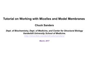 Tutorial on Working with Micelles and Other Model Membranes