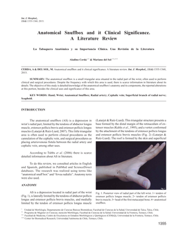 Anatomical Snuffbox and It Clinical Significance. a Literature Review