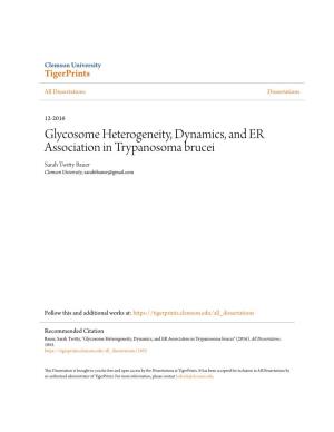 Glycosome Heterogeneity, Dynamics, and ER Association in Trypanosoma Brucei Sarah Twitty Bauer Clemson University, Sarahtbauer@Gmail.Com