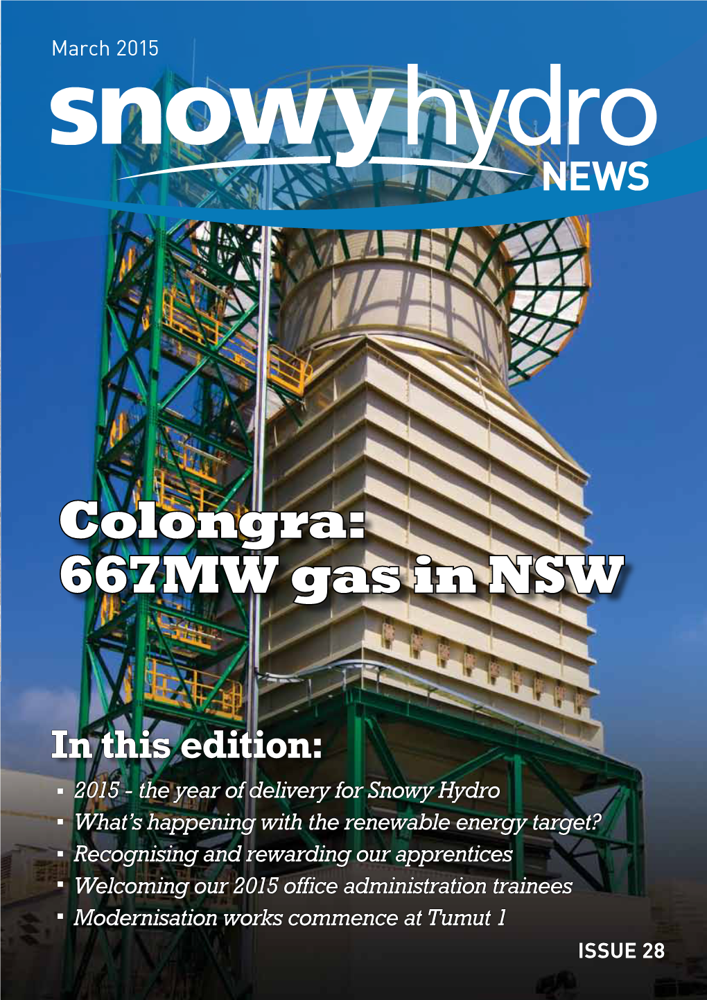 Colongra: 667MW Gas in NSW