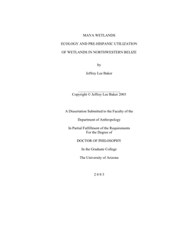 Maya Wetlands Ecology and Pre-Hispanic Utilization of Wetlands in Nortwestern Belize