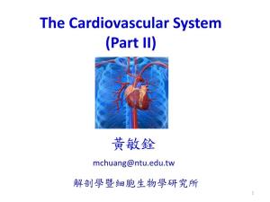 The Cardiovascular System (Part II)