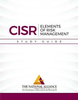Cisr Elements of Risk Management
