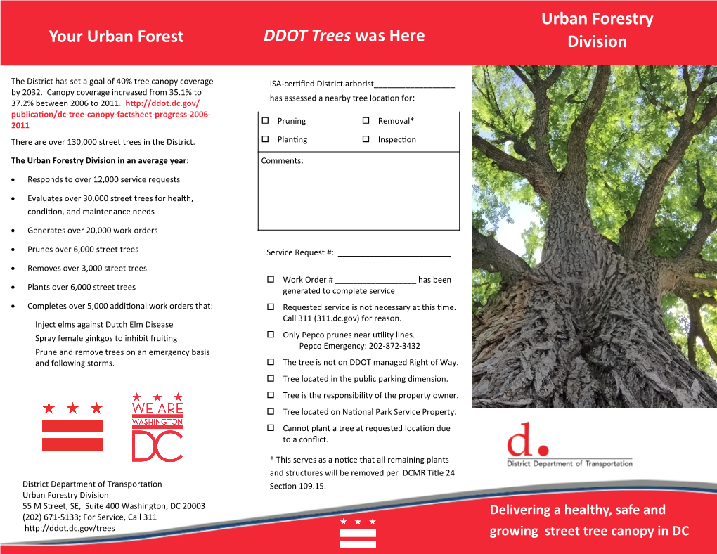 DDOT Trees Was Here Urban Forestry Division Your Urban Forest