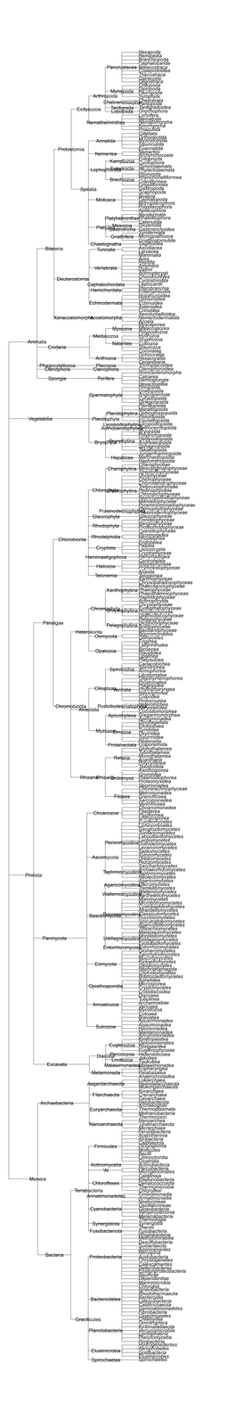 R Graphics Output