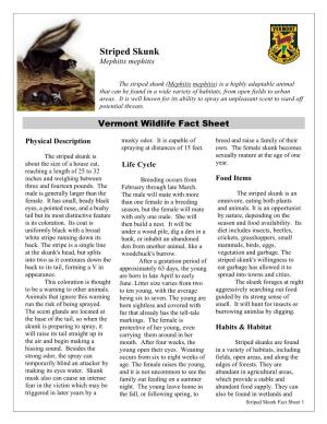 Vermont Wildlife Fact Sheet: Striped Skunk