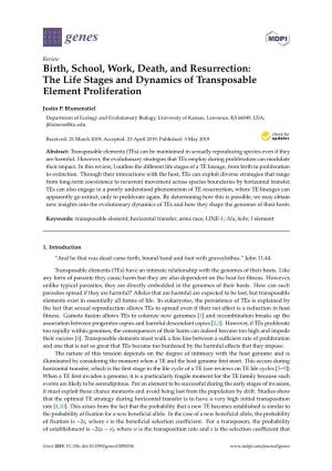 The Life Stages and Dynamics of Transposable Element Proliferation
