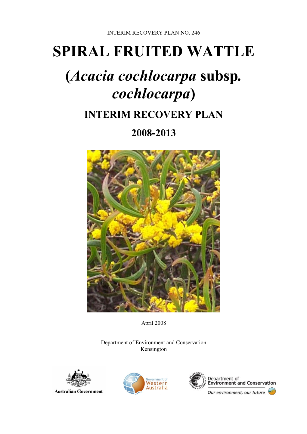 Acacia Cochlocarpa Subsp.Cochlocarpa443.08 KB