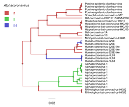 L1 L2 L34 0.02 Alphacoronavirus