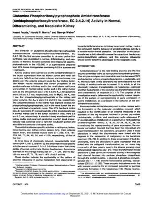 Glutamine-Phosphoribosylpyrophosphate Amidotransferase (Amidophosphoribosyltransferase, EC 2.4.2.14) Activity in Normal, Differentiating, and Neoplastic Kidney