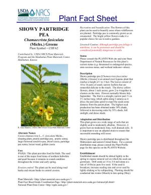 SHOWY PARTRIDGE Plant Can Be Used to Beautify Areas Where Wildflowers Are Planted