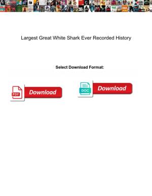 Largest Great White Shark Ever Recorded History