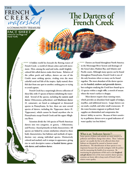 E Darters of French Creek FACT SHEET Written by Lisa Beggs and Hardy Vanry