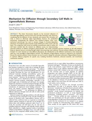Mechanism for Diffusion Through Secondary Cell Walls in Lignocellulosic Biomass
