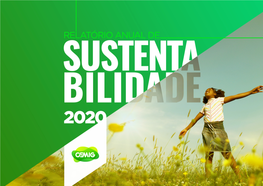 2021 RAS Relatório Anual De Sustentabilidade 2020 Download